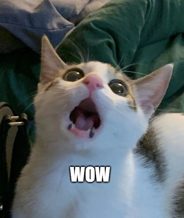 chưa đủ wow meme ảnh chế trend 