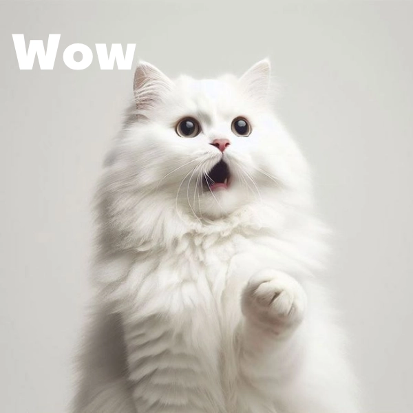 ảnh meme wow chế ảnh hài
