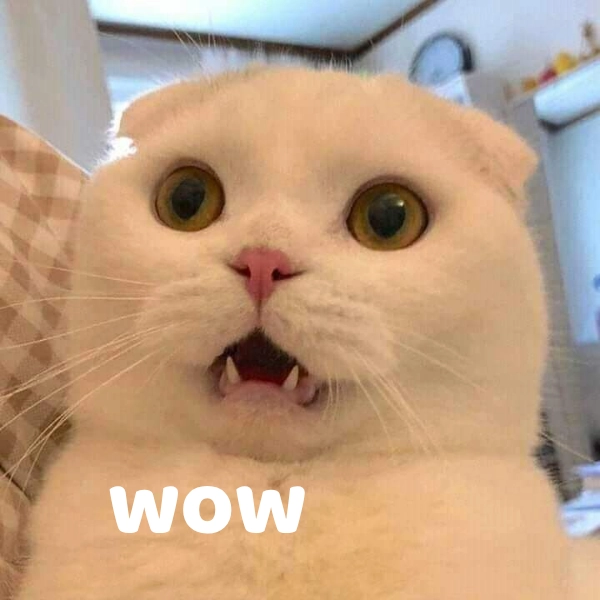 meme wow em chưa 18 ảnh vui 
