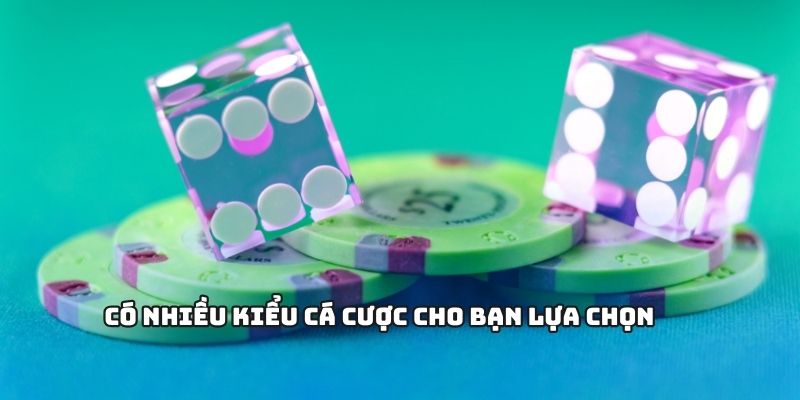 Có nhiều kiểu cá cược cho bạn lựa chọn