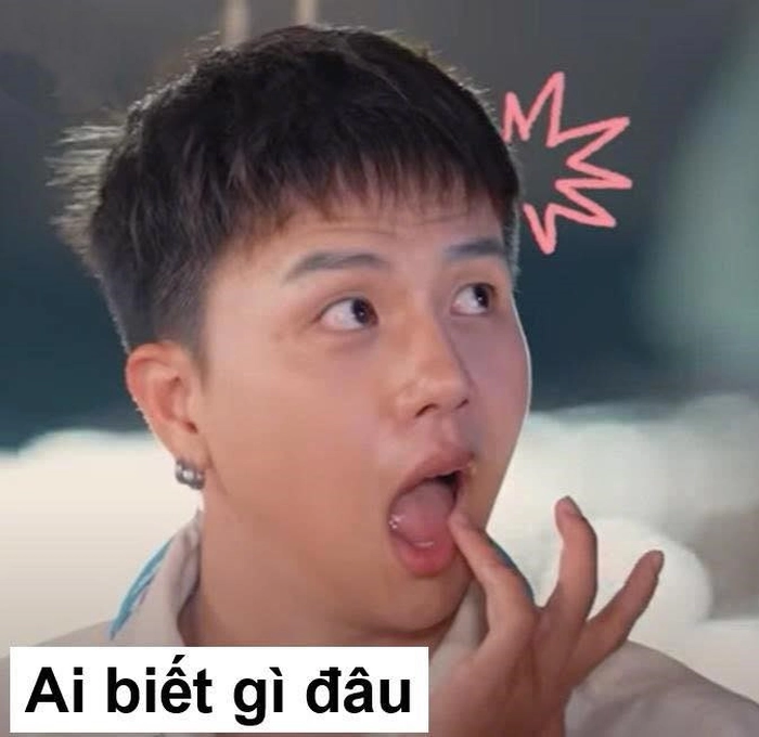 ai biết gì đâu meme gia đình haha