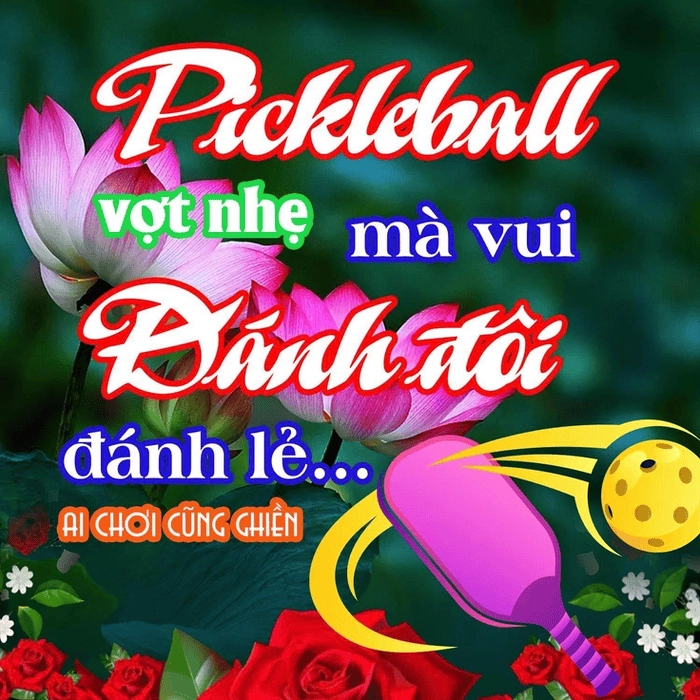 pickleball meme được yêu thích 