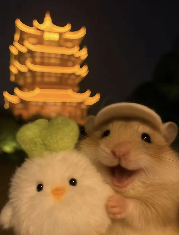 hình ảnh vô tri cute đầy bí ẩn 