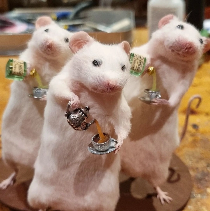 hình ảnh vô tri cute nhẹ nhàng 