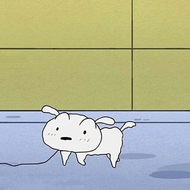avatar đôi vô tri
