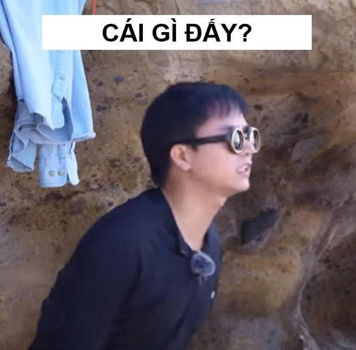 cái gì đấy meme gia đình haha