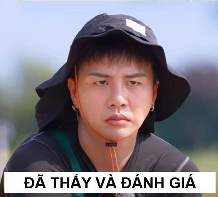 đã thấy và đánh giá meme gia đình haha
