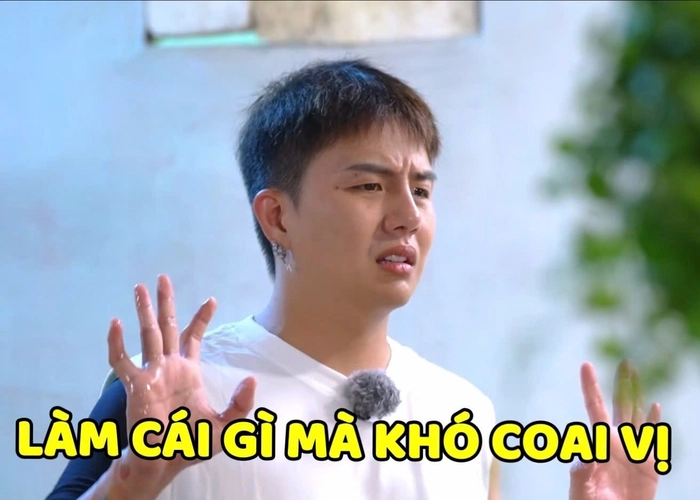 đầu hàng meme gia đình haha