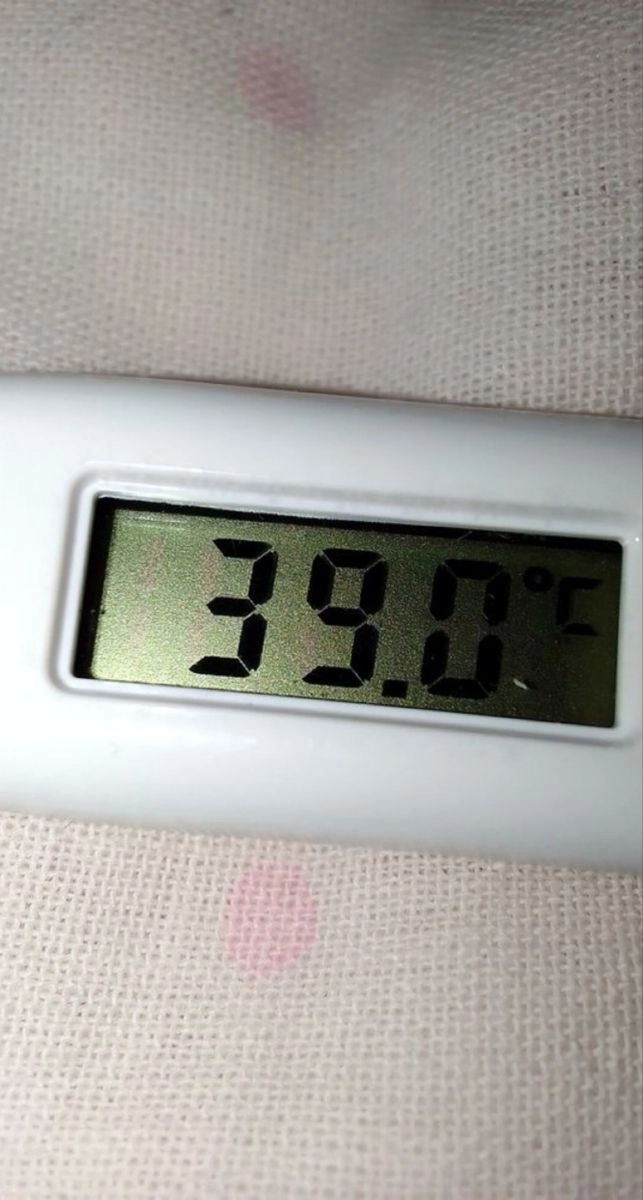 ảnh bị sốt 39 độ mệt mỏi 
