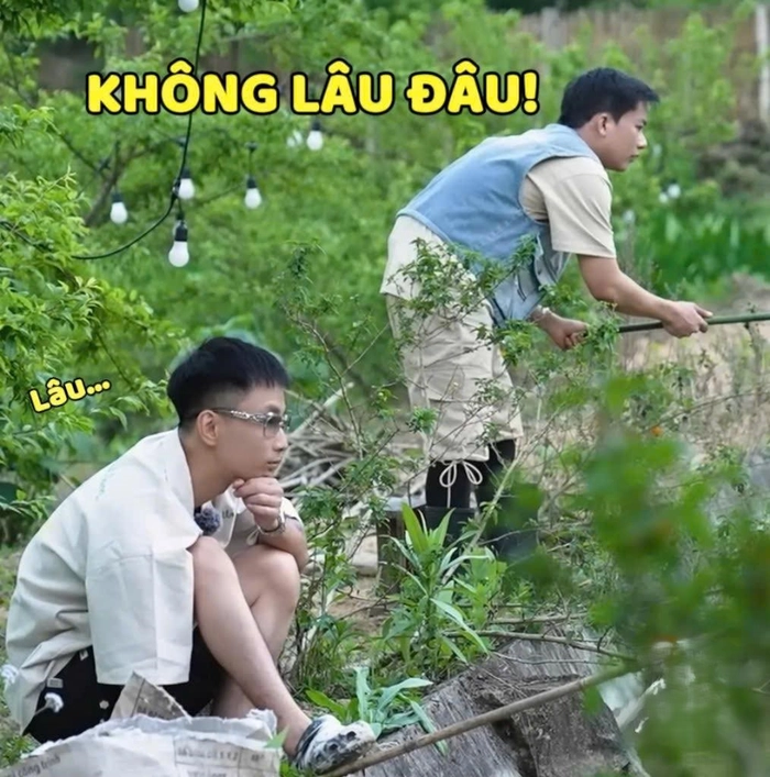 không lâu meme gia đình haha