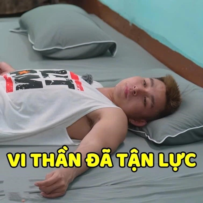 meme gia đình haha