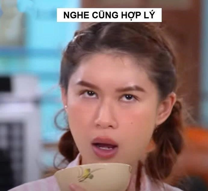 ngọc thanh tâm meme gia đình haha