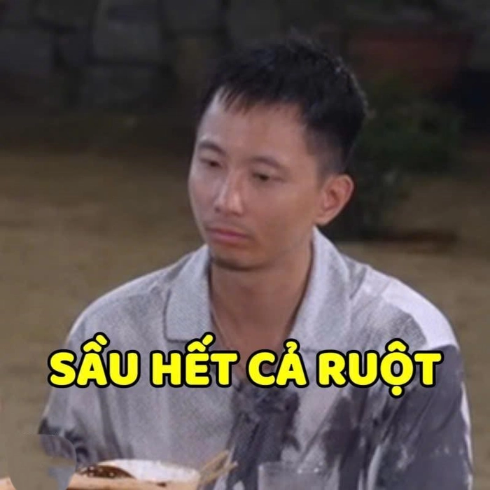 sầu meme gia đình haha