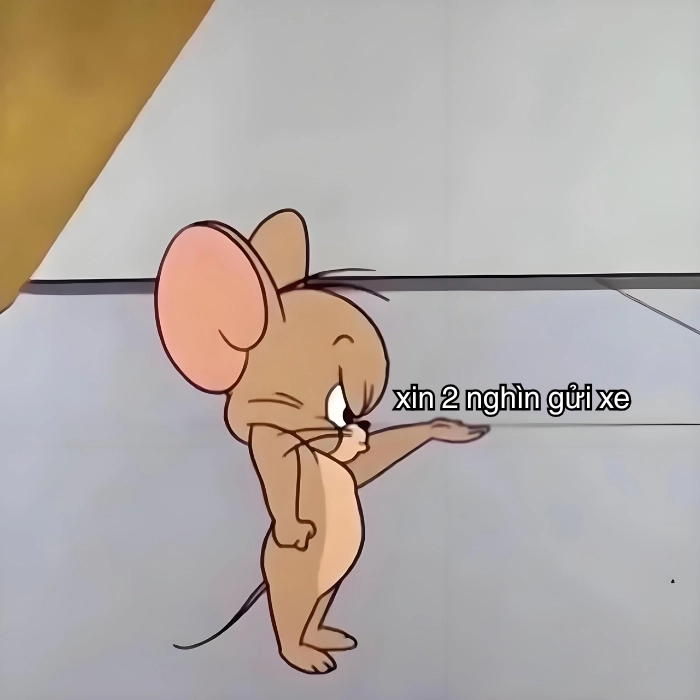 ảnh meme xin tiền đáng yêu