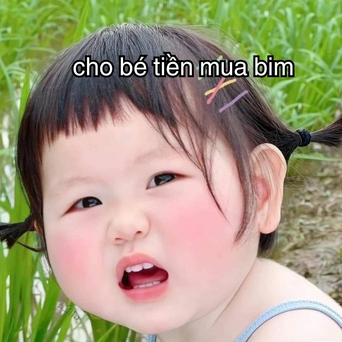 ảnh meme xin tiền