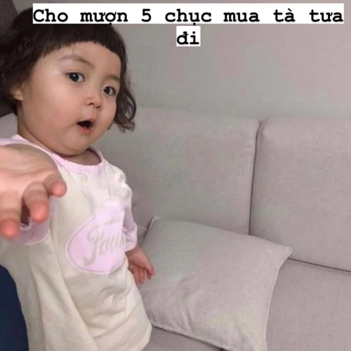 hình meme xin tiền hài hước