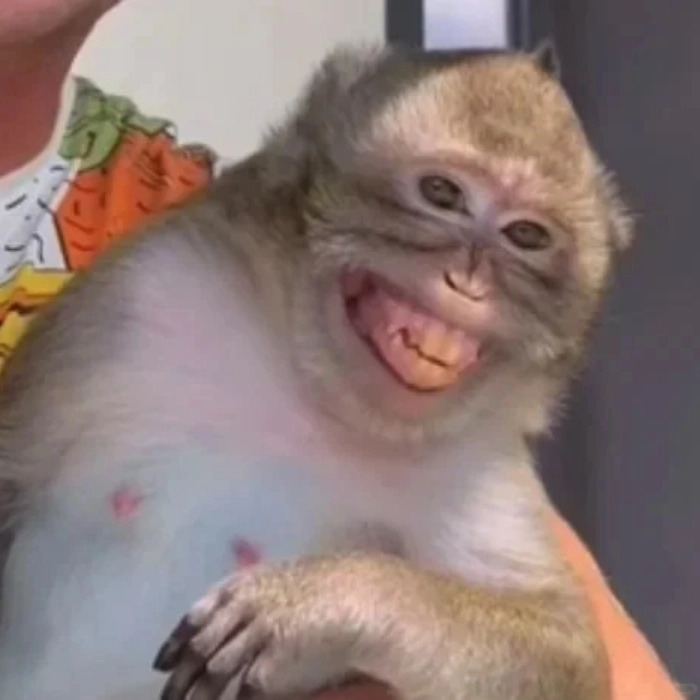 meme con khỉ dễ thương