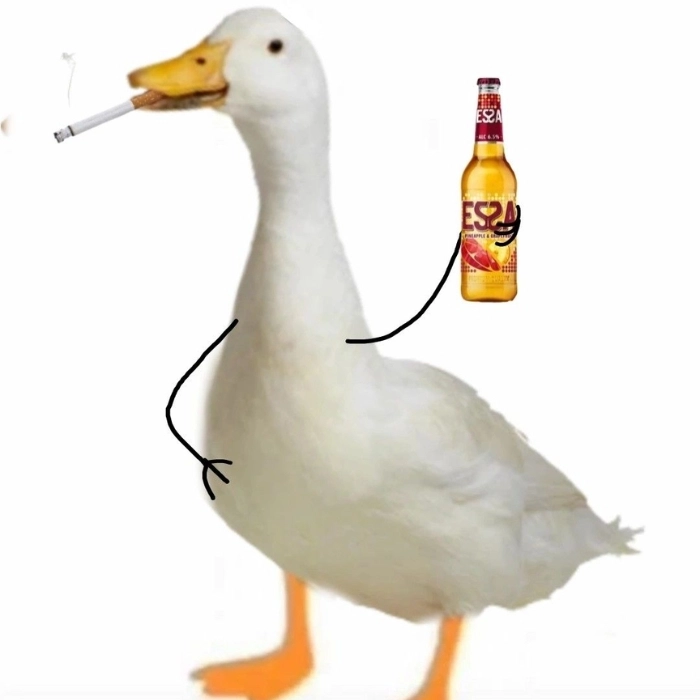 meme con vịt cầm chai bia