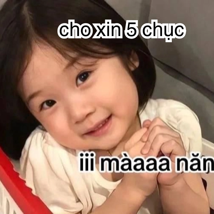 meme xin tiền 5 chục