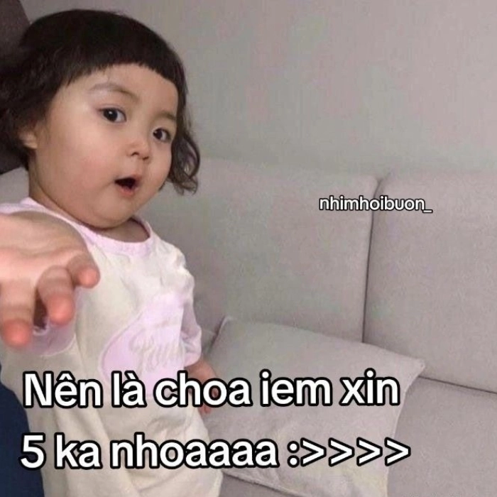 meme xin tiền 5 k