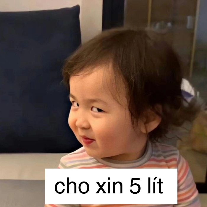 meme cho xin 5 lít