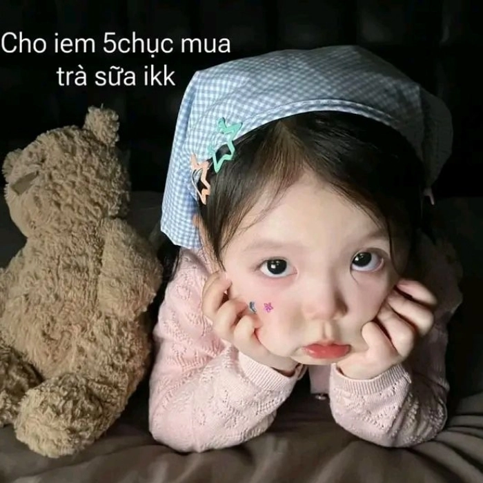 meme xin tiền cute nhất