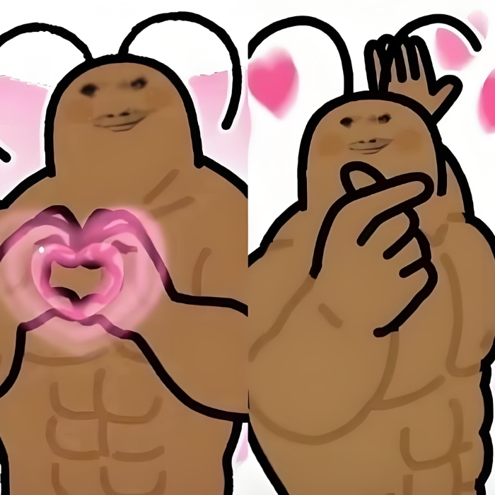 Ảnh meme con gián cute