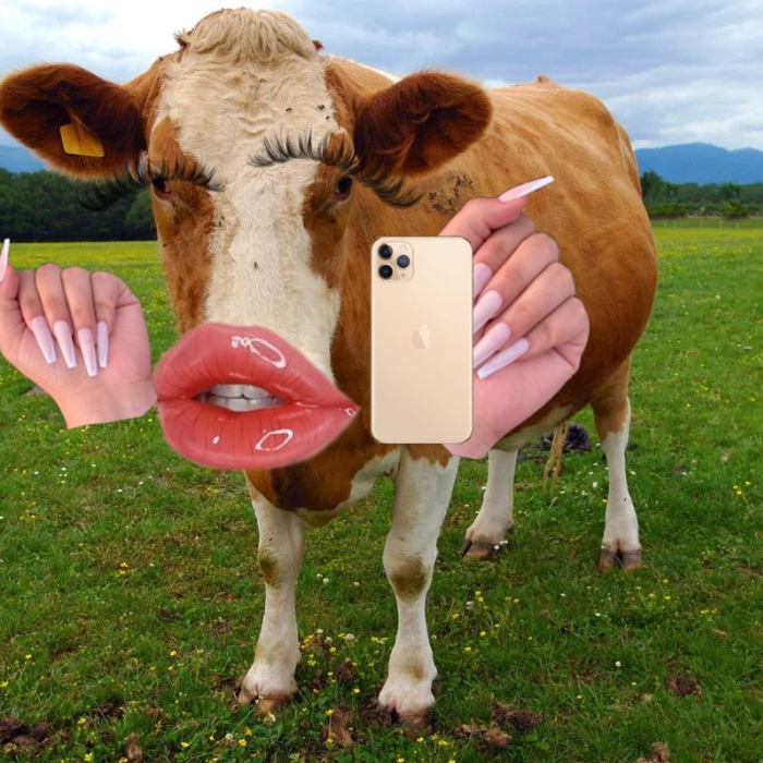 Con bò meme đang suy nghĩ