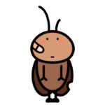 Hình con gián meme đáng yêu