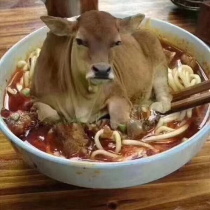 Meme con bò đang ngồi trước máy tính