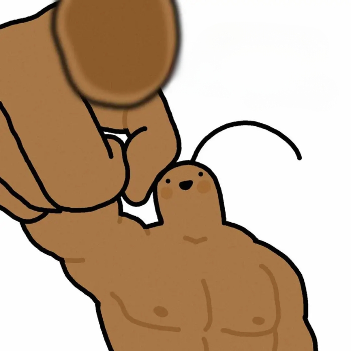 Meme con gián troll vui