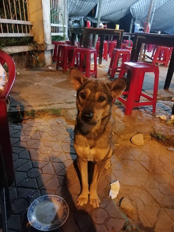 ảnh meme ăn xin nhìn là cười