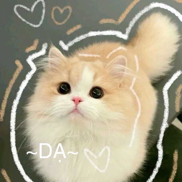 ảnh meme dạ cute
