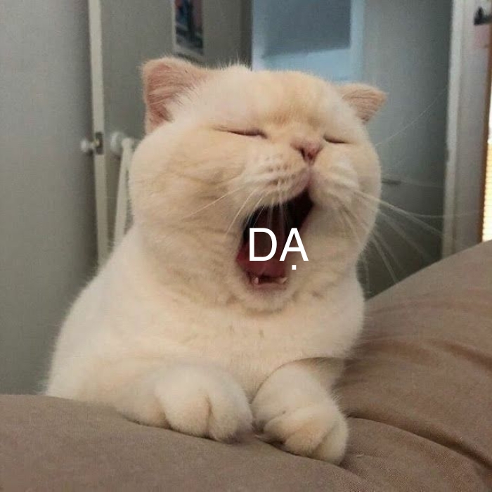 ảnh meme dạ