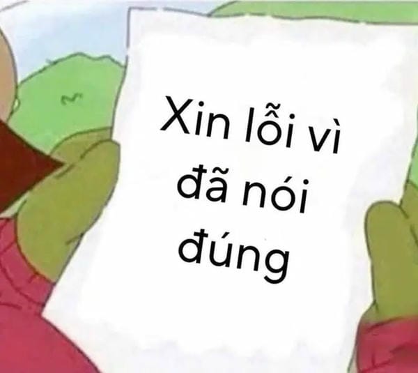 ảnh mèo xin xỏ chế vui