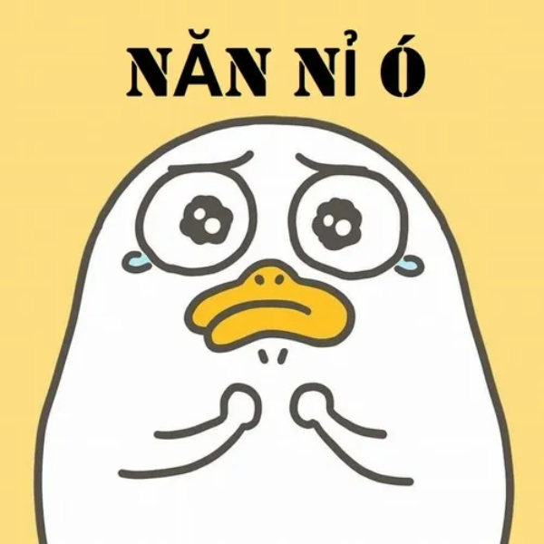 ảnh xin xỏ meme dễ thương cực độ