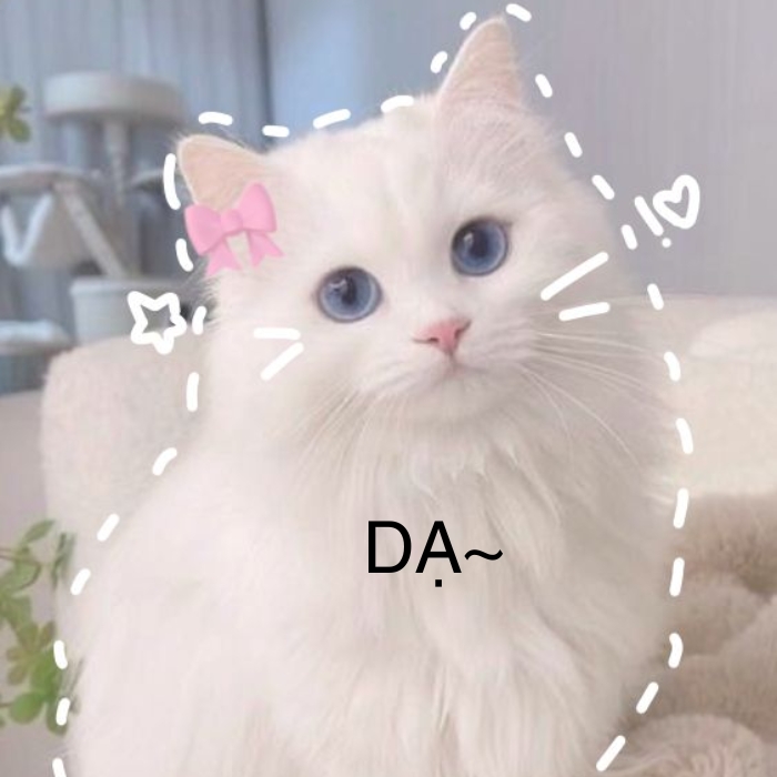 hình ảnh meme dạ cute