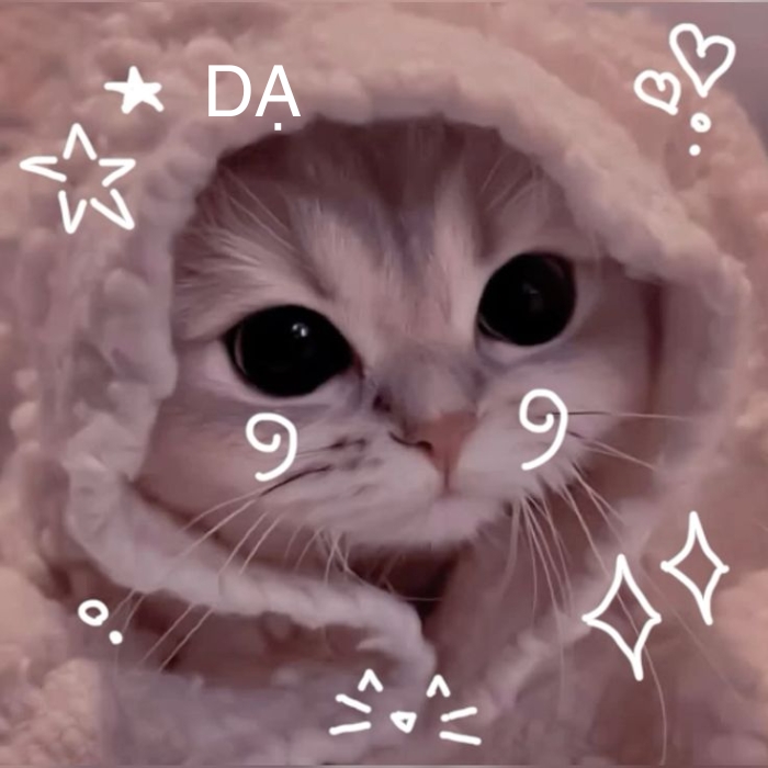 hình ảnh meme dạ