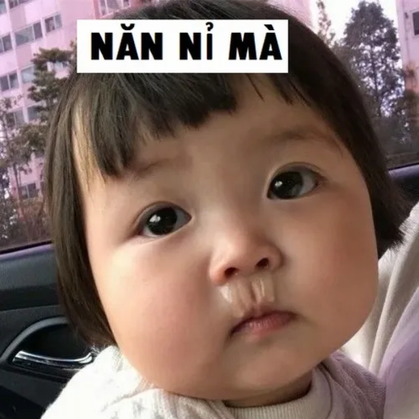 hình chế mèo cầu xin đồ ăn