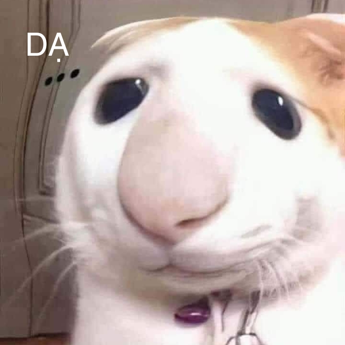 hình meme dạ hài hước