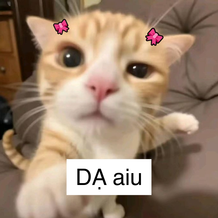 hình meme dạ