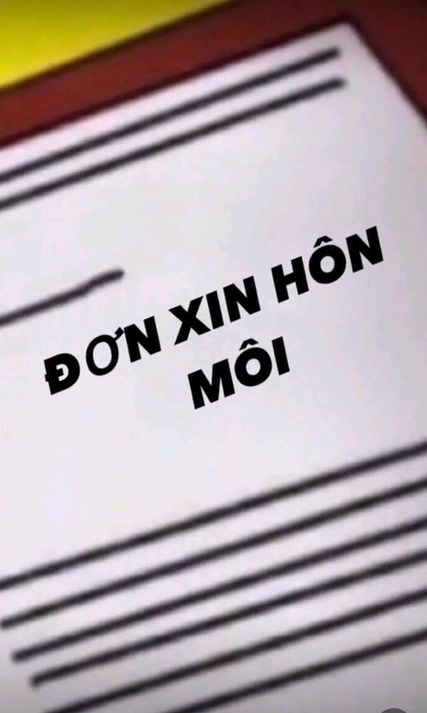 hình mèo xin xỏ với đôi mắt to