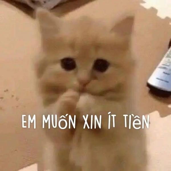 meme ăn xin dễ thương cực mạnh