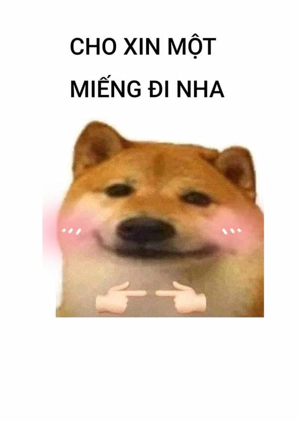 meme ăn xin với biểu cảm buồn