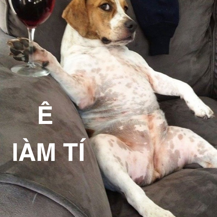 meme chữ ê 2