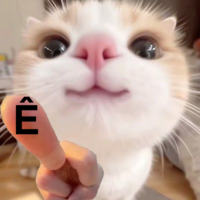 meme chữ ê 20