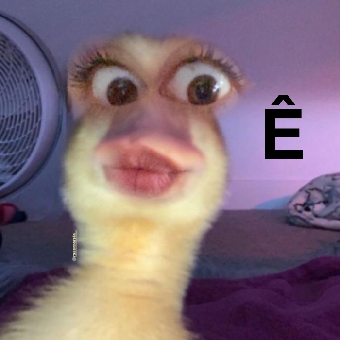 meme chữ ê 26
