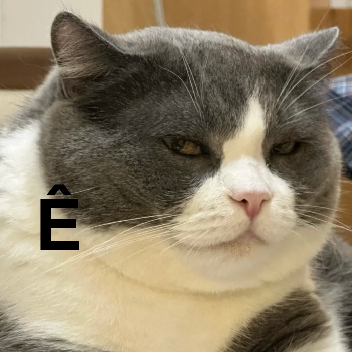 meme chữ ê 3