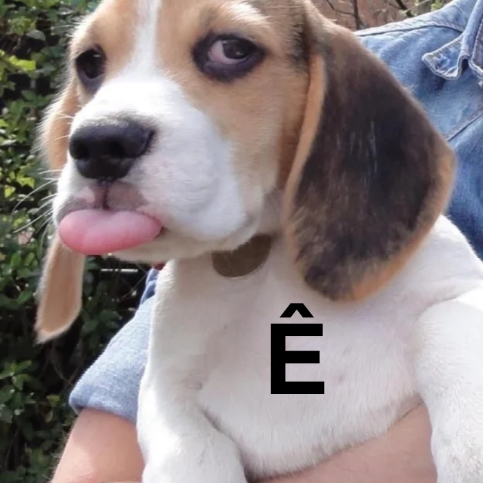 meme chữ ê 6