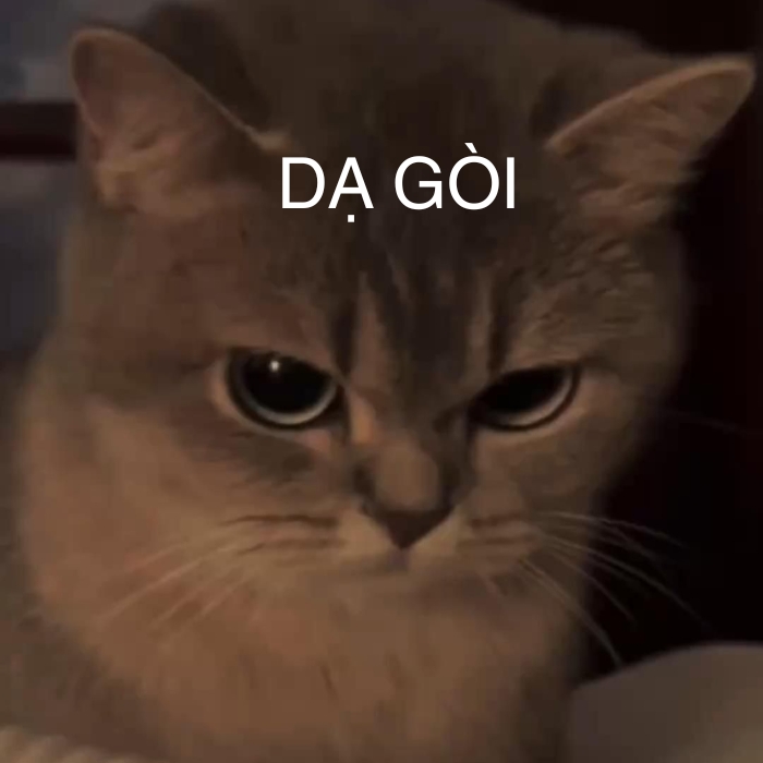 meme dạ cute